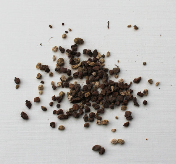 lava pumice bonsai soil